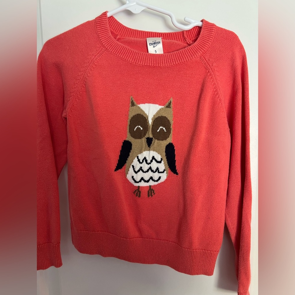 Girls Owl Sweater